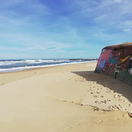 Mh539 La Des Vagues *