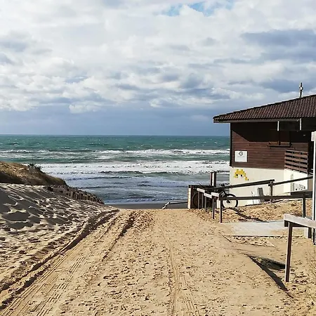 Mh539 La Des Vagues Saint-Julien-en-Born
