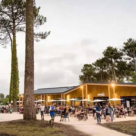 Mh539 La Des Vagues *