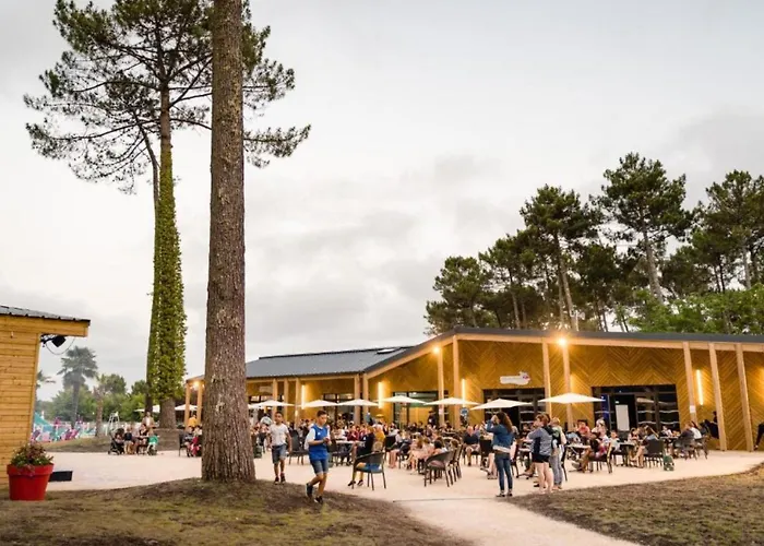 Mh539 La Des Vagues *